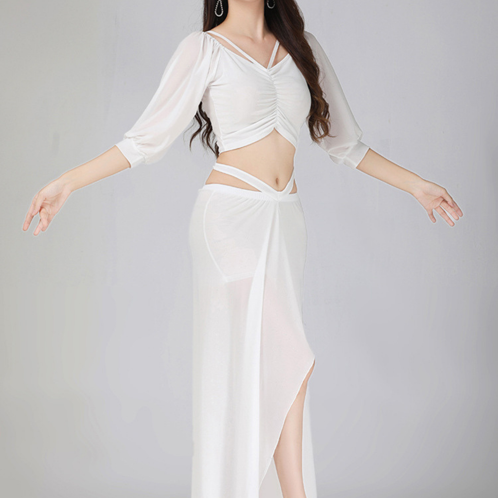 ベリーダンス　レッスンウェア　ラメ　メッシュ　ランタンスリーブ